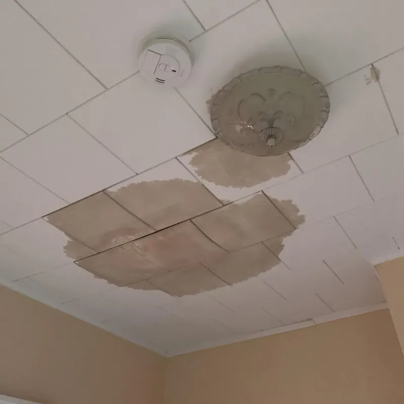 Ceiling Water Damage Repair in Bridport, VT