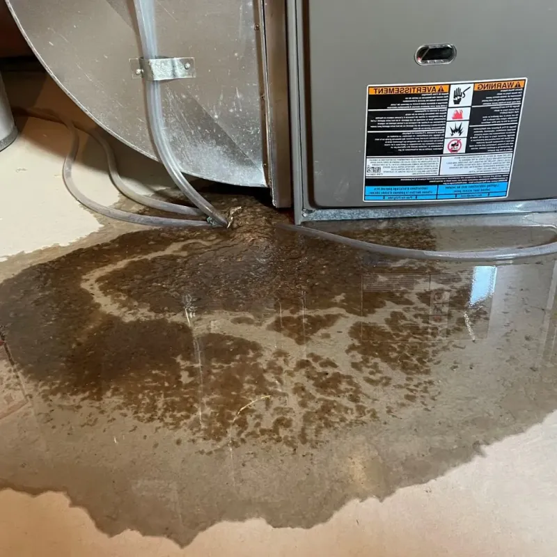 Pipe Burst and Leak Restoration in Bridport, VT